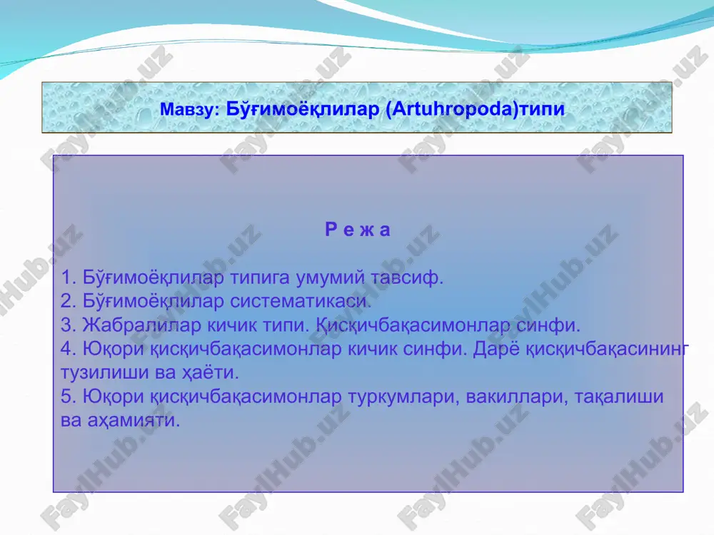 бўғимоёқлилар ( artuhropoda) типи — ZIP
