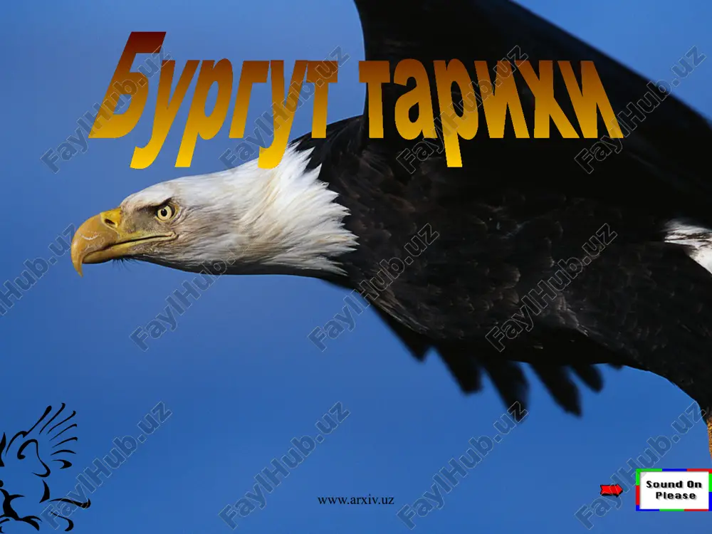 бургут тарихи — ZIP
