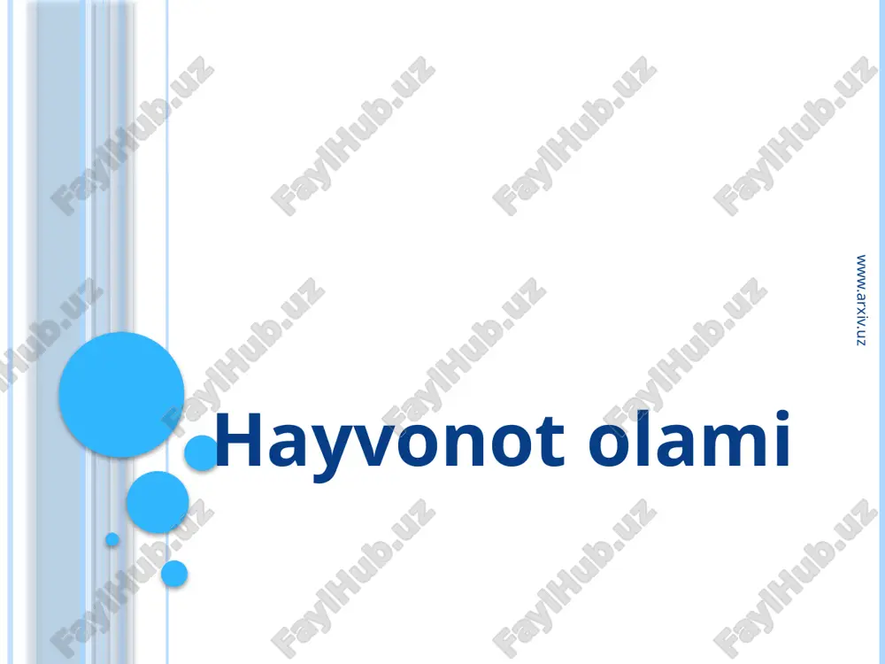 hayvonot olami — ZIP