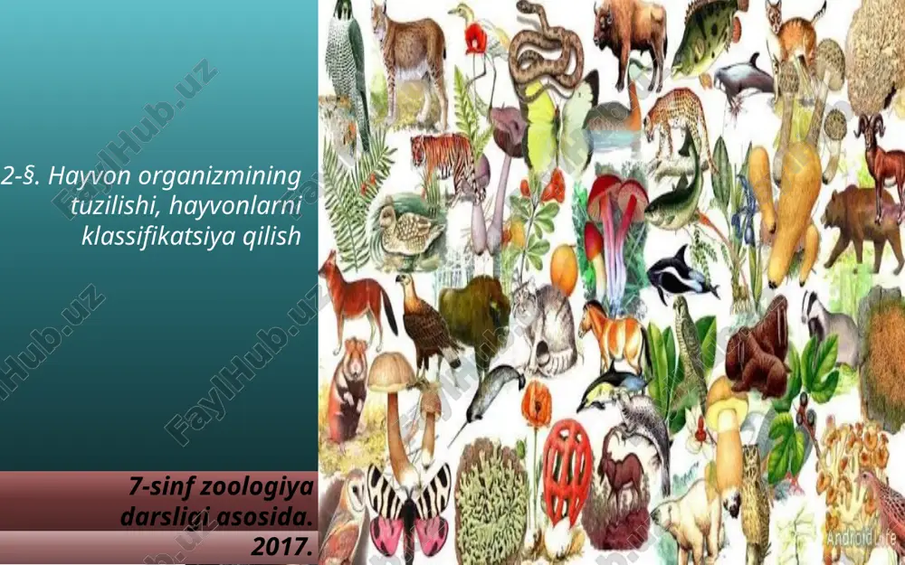 hayvon organizmining tuzilishi, hayvonlarni klassifikatsiya qilish. 7- sinf — ZIP