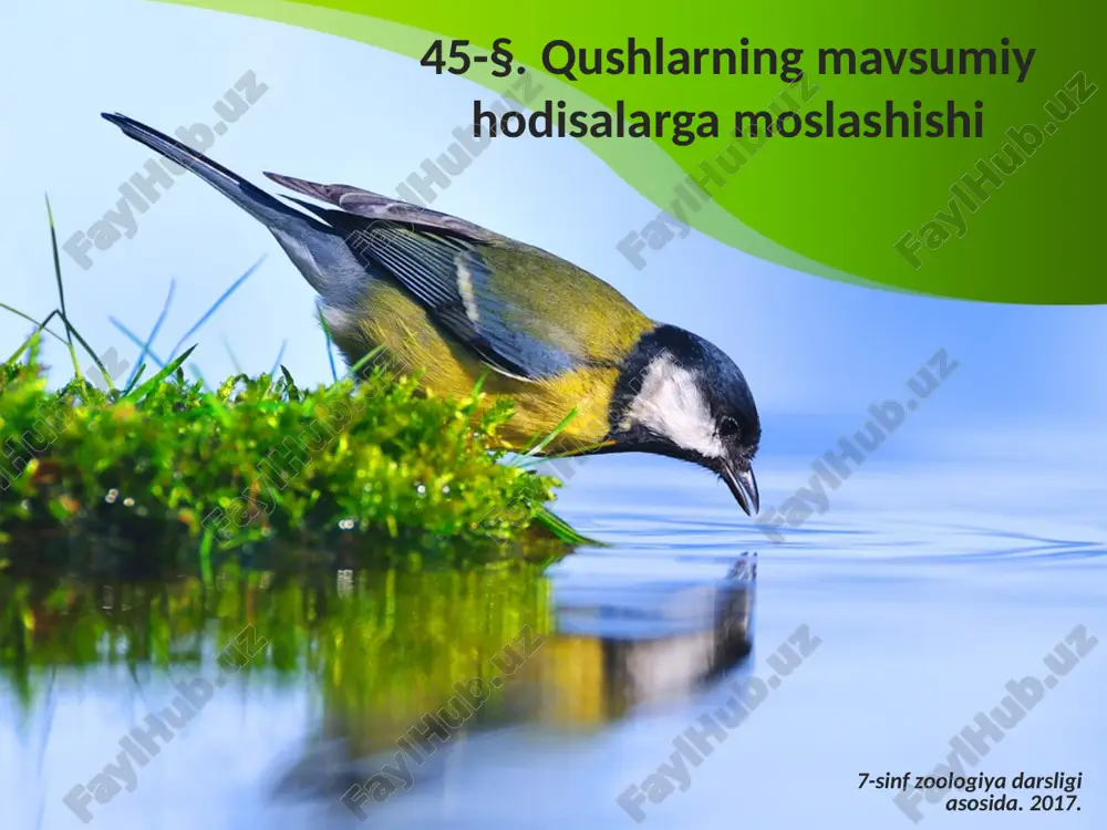 qushlarning mavsumiy hodisalarga moslashishi. 7- sinf — ZIP
