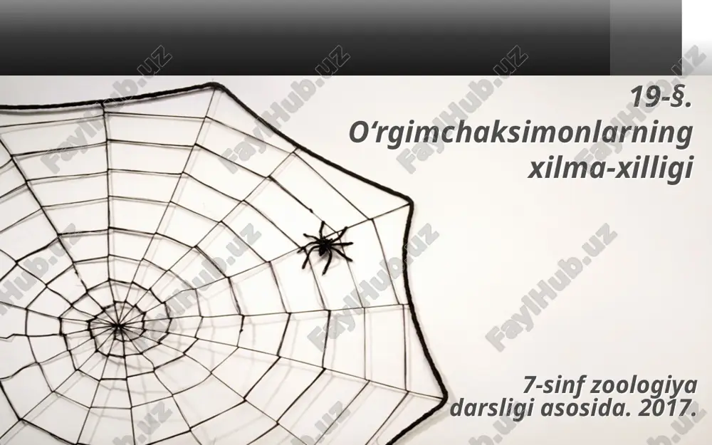 o‘rgimchaksimonlarning xilma-xilligi. 7- sinf — ZIP