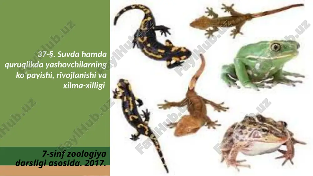suvda hamda quruqlikda yashovchilarning ko‘payishi, rivojlanishi va xilma-xilligi. 7- sinf — ZIP