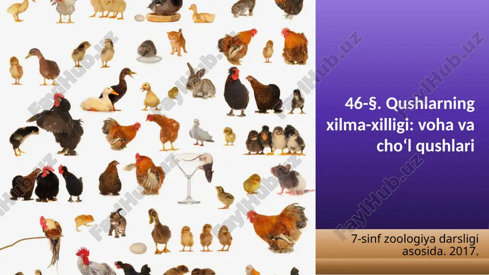 qushlarning xilma-xilligi voha va cho‘l qushlari. 7- sinf — ZIP