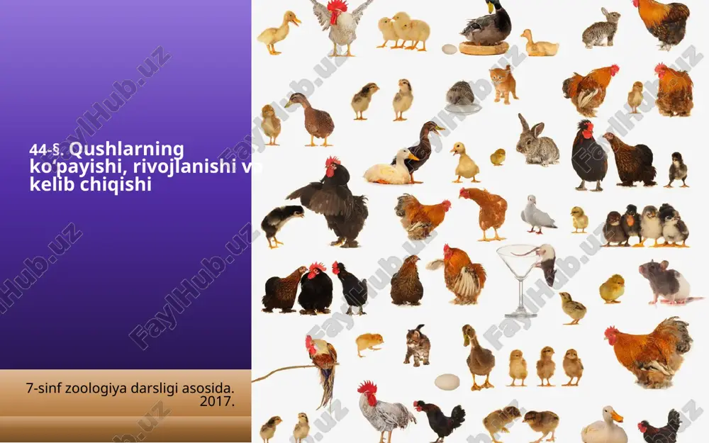qushlarning ko‘payishi, rivojlanishi va kelib chiqishi. 7- sinf — ZIP