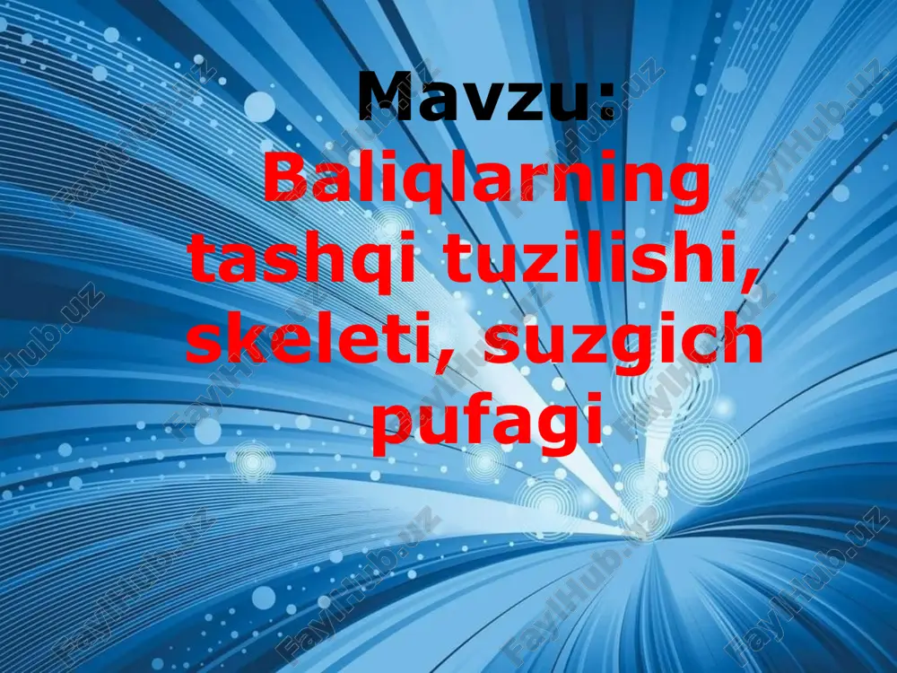 baliqlarning tashqi tuzilishi, skeleti, suzgich pufagi — ZIP