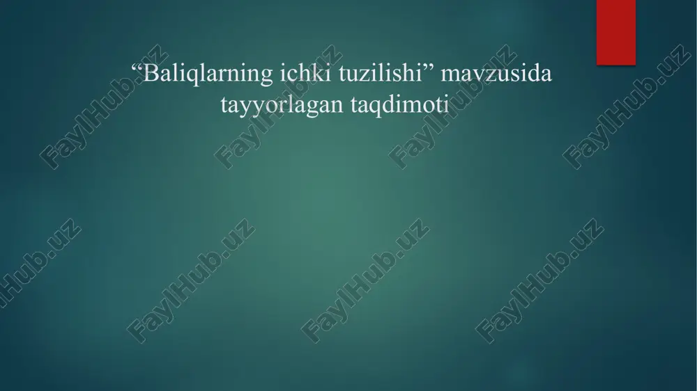 baliqlarning ichki tuzilishi (dars ishlanma) — PPTX