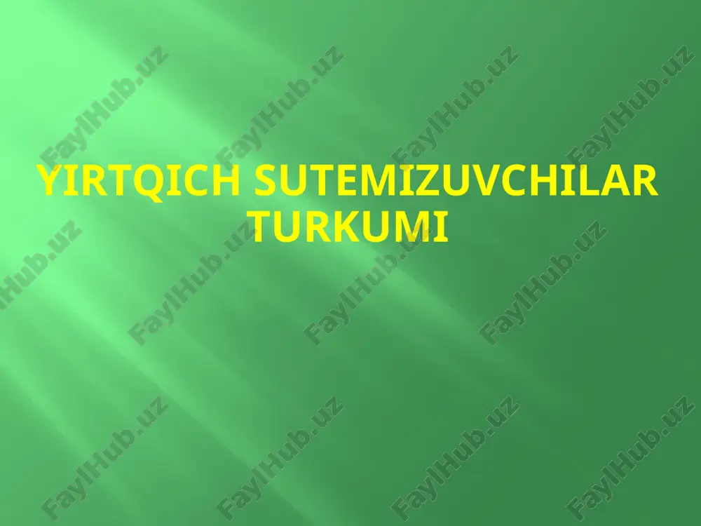 yirtqich sutemizuvchilar turkumi — PPTX