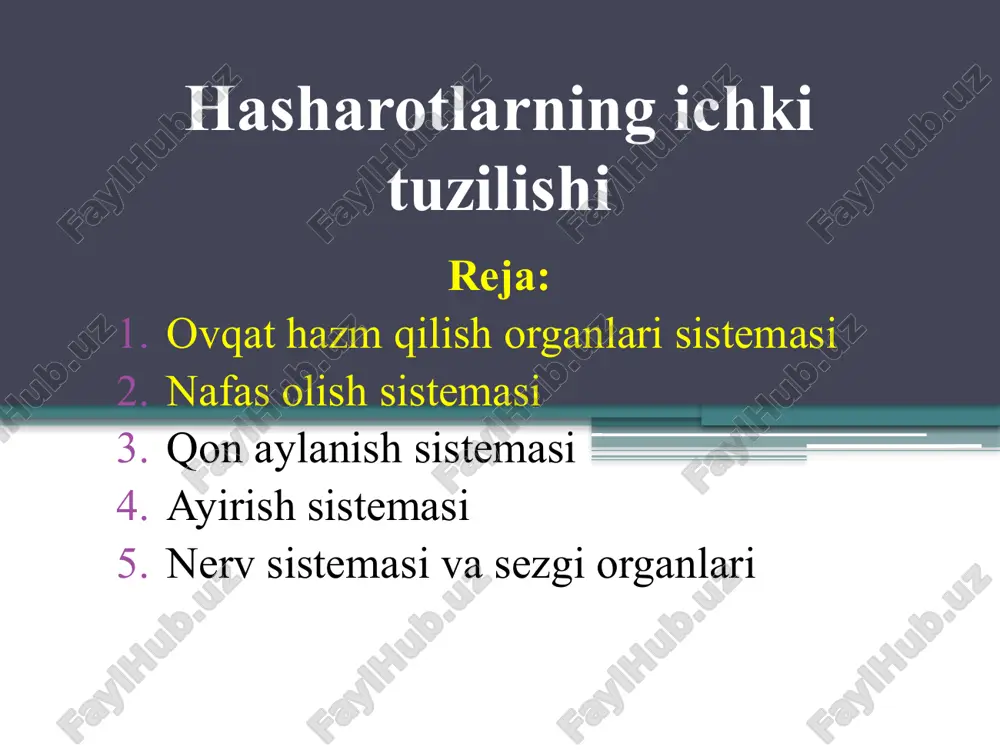 hasharotlarning ichki tuzilishi — PPTX