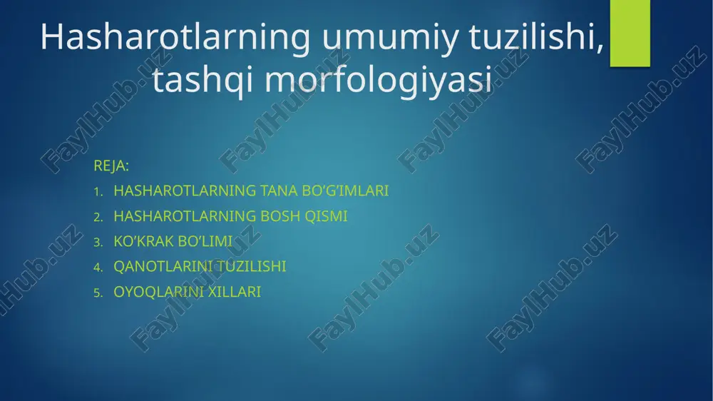 hasharotlarning umumiy tuzilishi, tashqi morfologiyasi — PPTX