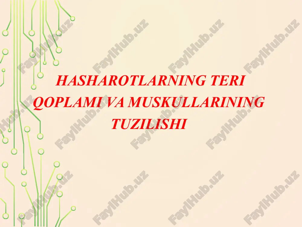 hasharotlarning teri qoplami va muskullarining tuzilishi — ZIP