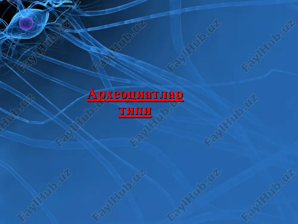 археоциатлар типи — PPT