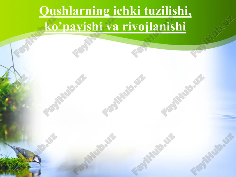 qushlarning ichki tuzilishi, ko’payishi va rivojlanishi — PPTX