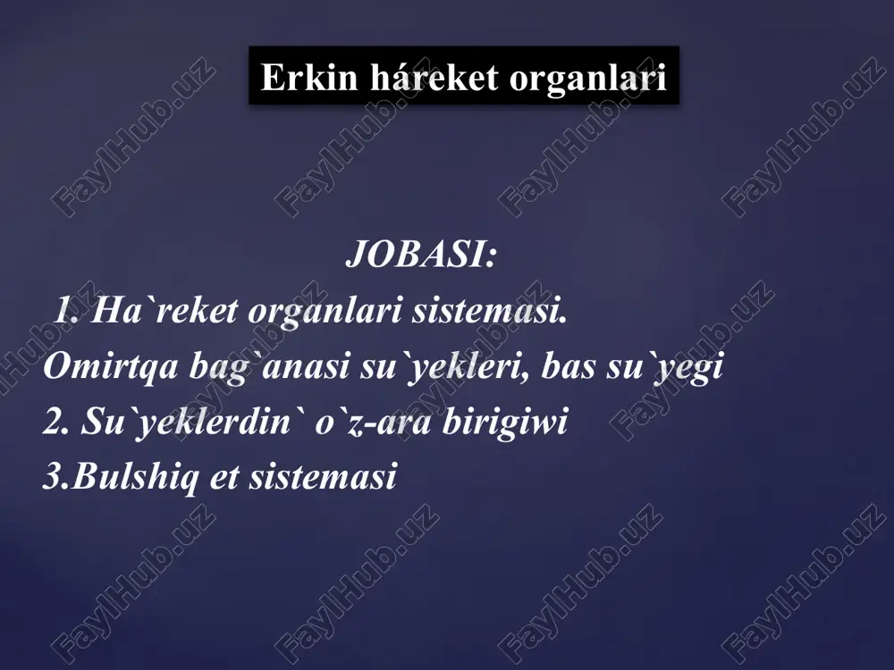 erkin háreket organlari — PPTX
