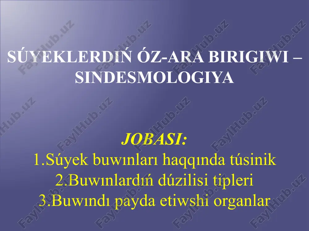 súyeklerdiń óz-ara birigiwi – sindesmologiya — PPTX