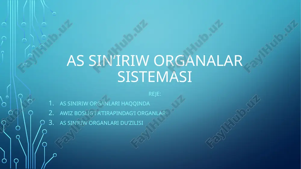 as sin’iriw organalar sisteması — PPTX