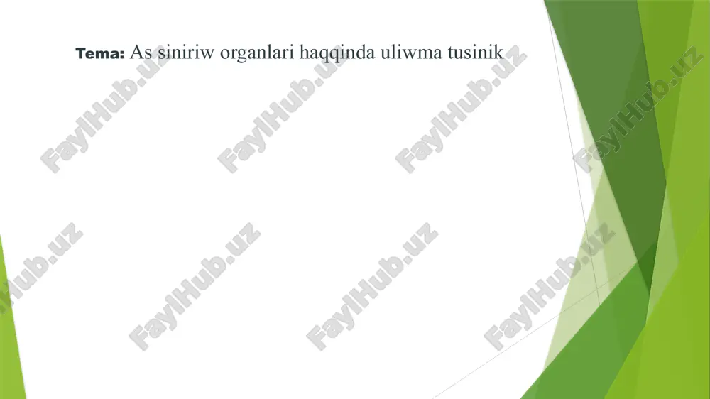 as siniriw organlari haqqinda uliwma tusinik — PPTX