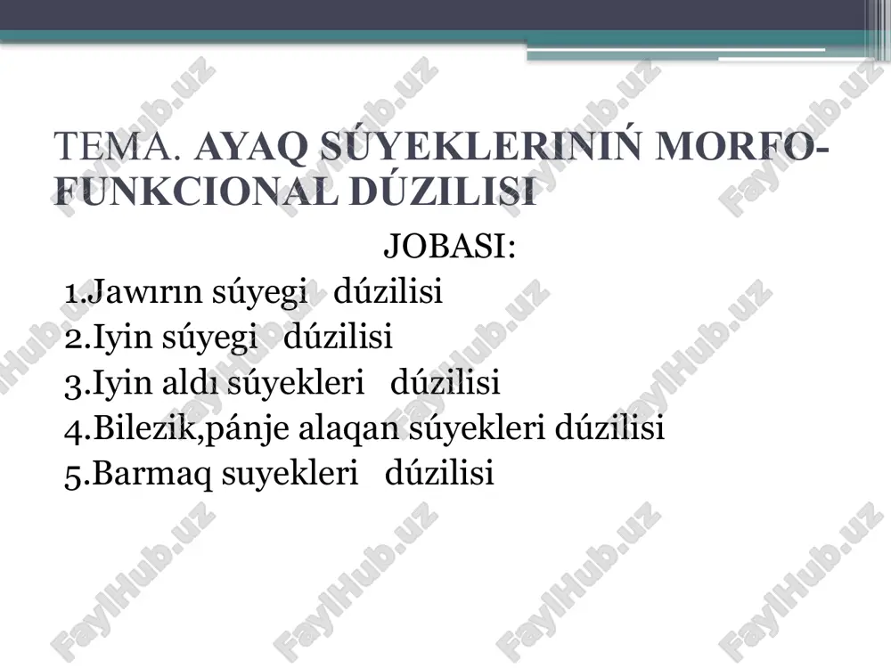 ayaq súyekleriniń morfo-funkcional dúzilisi — PPTX