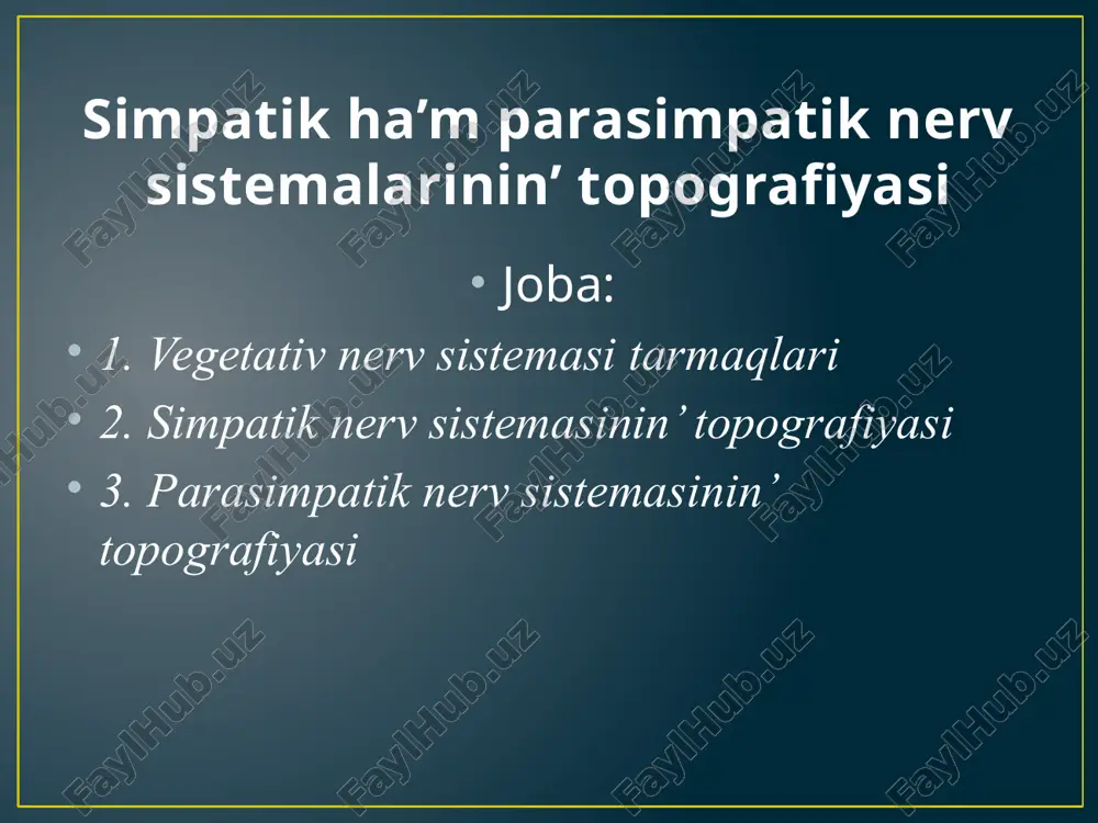 simpatik ha’m parasimpatik nerv sistemalarinin’ topografiyasi — PPTX