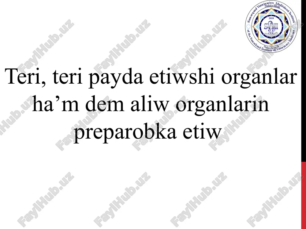 teri, teri payda etiwshi organlar ha’m dem aliw organlarin preparobka etiw — PPTX