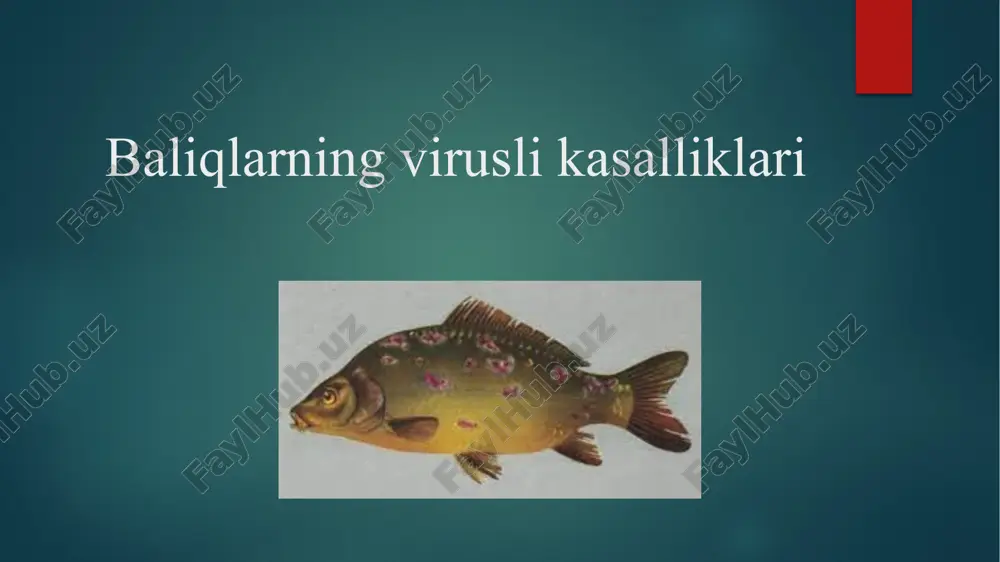 baliqlarning virusli kasalliklari — PPTX
