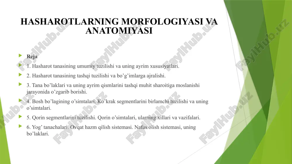 hasharotlarning morfologiyasi va anatomiyasi — PPTX