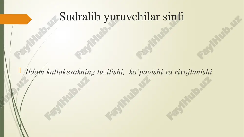 sudralib yuruvchilar sinfi 3 — PPTX
