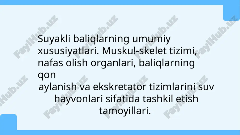 suyakli baliqlarning umumiy xususiyatlari. muskul-skelet tizimi, nafas olish organlari — PPTX