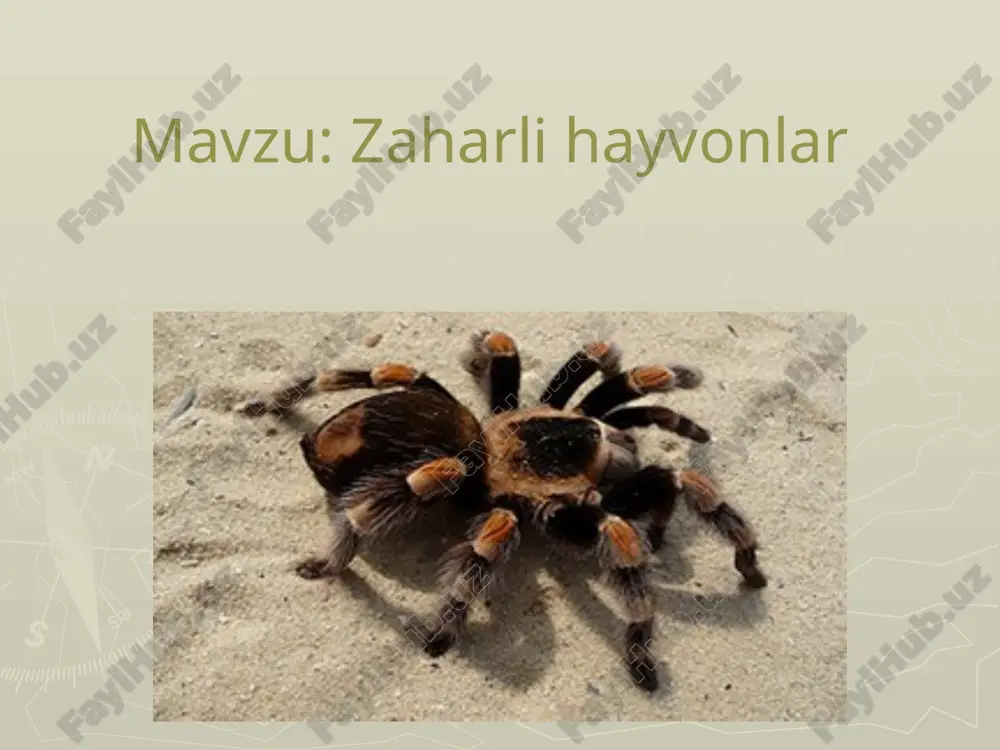 zaharli hayvonlar — PPTX