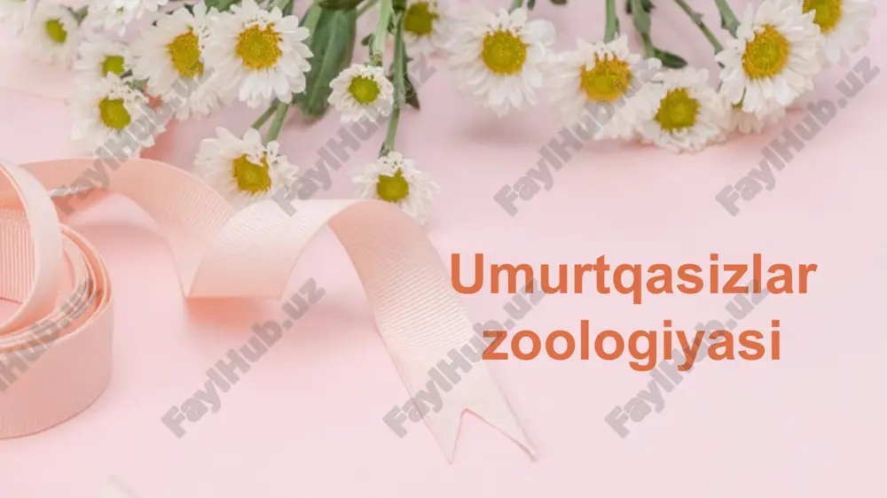 umurtqasizlar zoologiyasi — PPTX