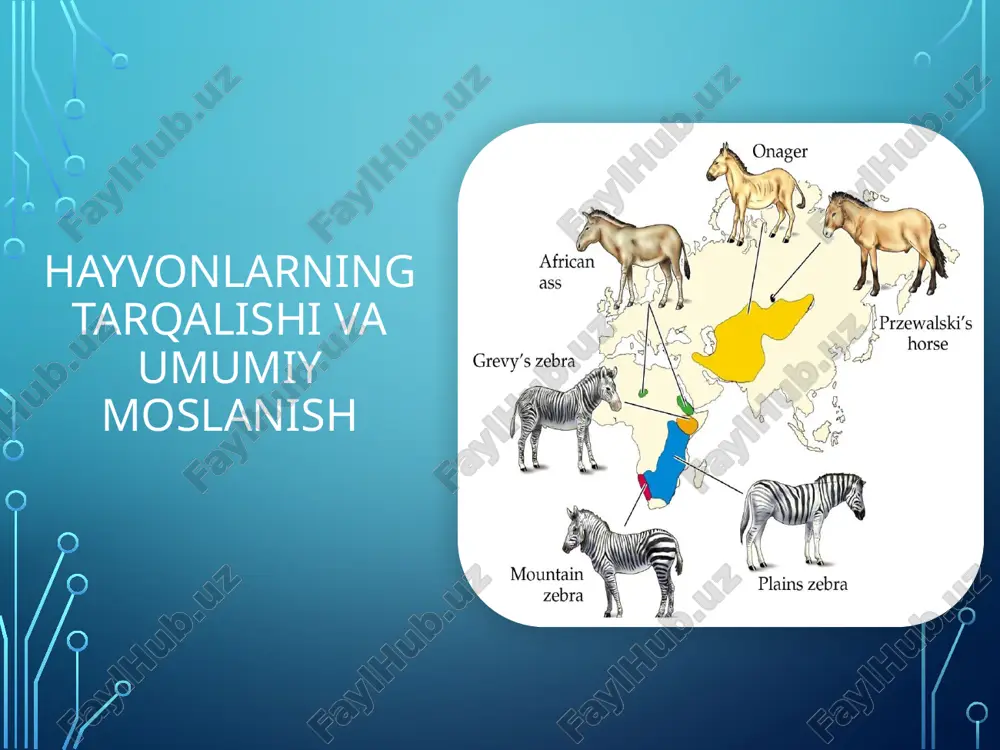 hayvonlarning tarqalishi va umumiy moslanish — PPTX