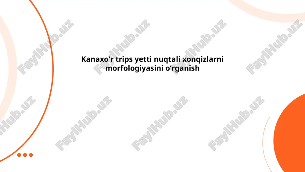 kanaxoʻr trips yetti nuqtali xonqizlarni morfologiyasini oʻrganish — PPTX