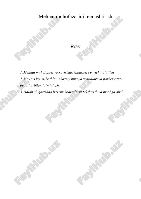 mehnat muhofazasini rejalashtirish — DOC