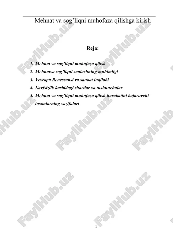 mehnat va sog’liqni muhofaza qilishga kirish — DOC