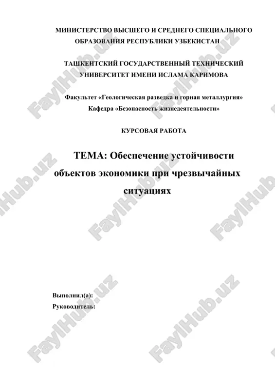 обеспечение устойчивости объектов экономики при чрезвычайных ситуациях — DOCX