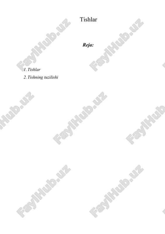 tishlar — DOCX