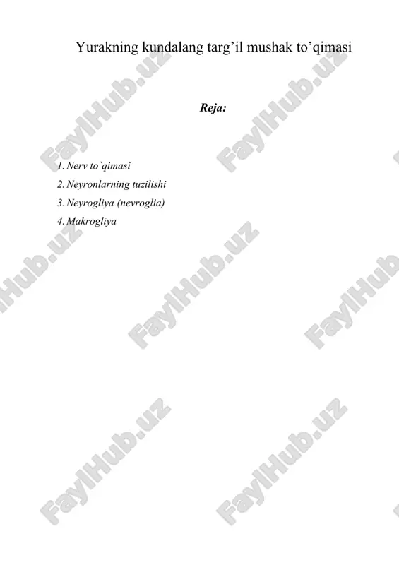 yurakning kundalang targ’il mushak to’qimasi — DOCX
