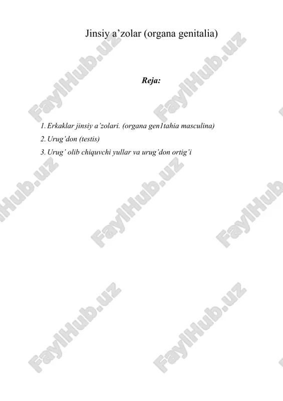 jinsiy a’zolar (organa genitalia) — DOCX
