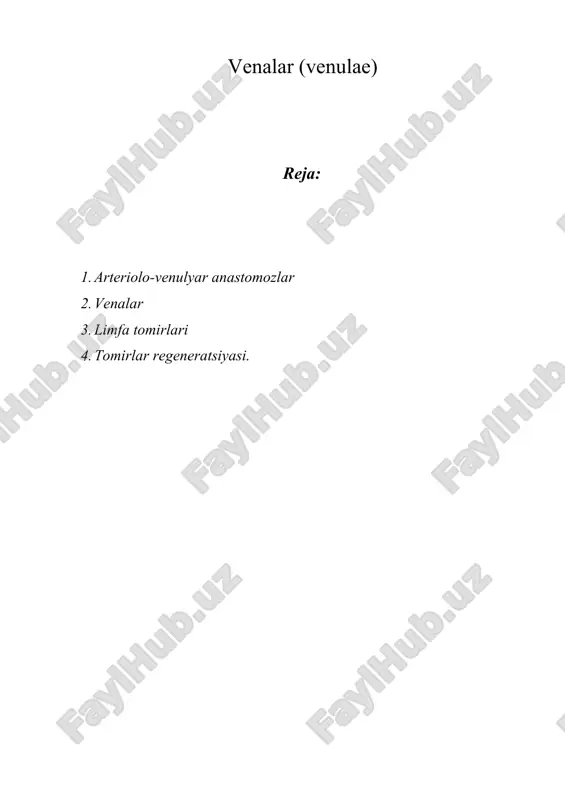 venalar (venulae) — DOCX