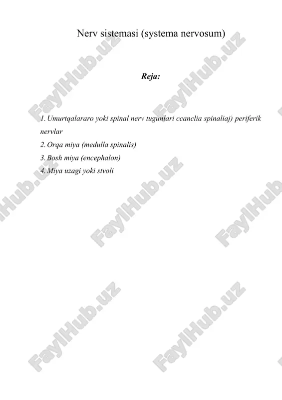 nerv sistemasi (systema nervosum) — DOCX