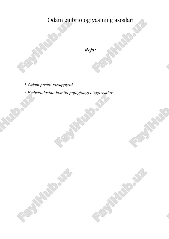 odam embriologiyasining asoslari — DOCX