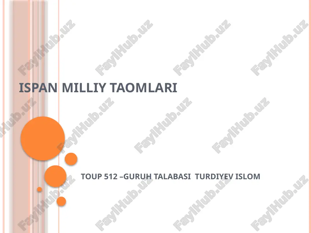 turizm — PPTX