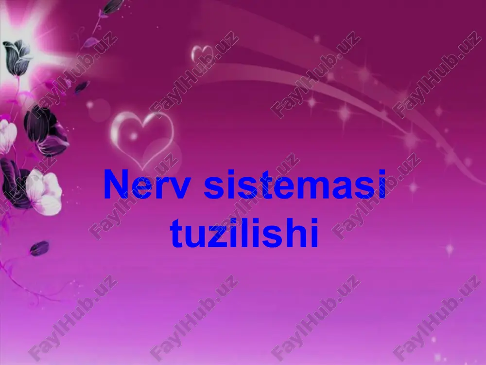 nerv sistemasi — PPTX