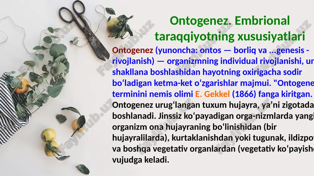 ontogenez. embrional taraqqiyotning xususiyatlari — PPTX