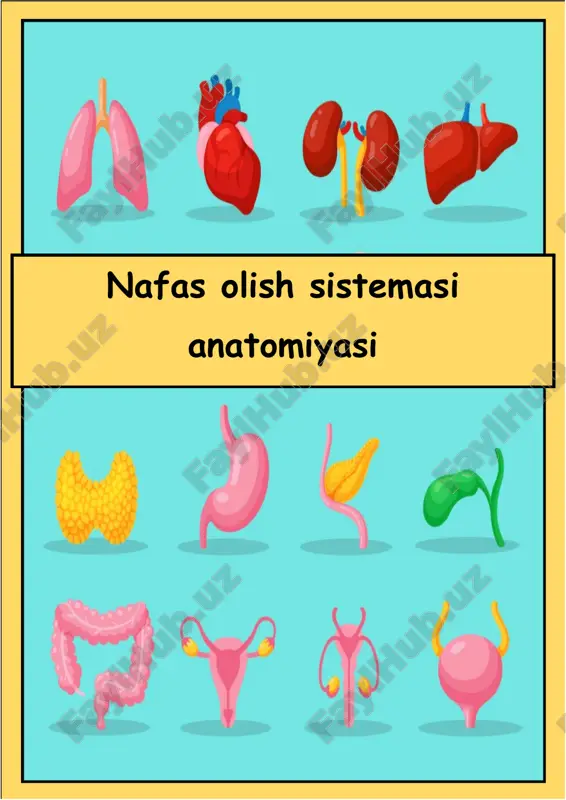nafas olish sistemasi anotomiyasi — PDF
