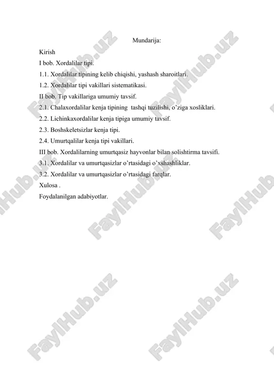 xordalilar tipi — DOCX