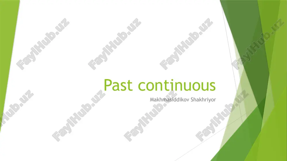 past continuous — PPTX