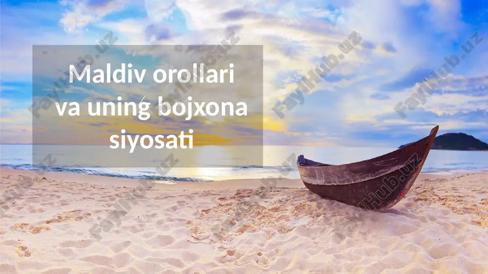 maldiv orollari va uning bojxona siyosati — PPTX