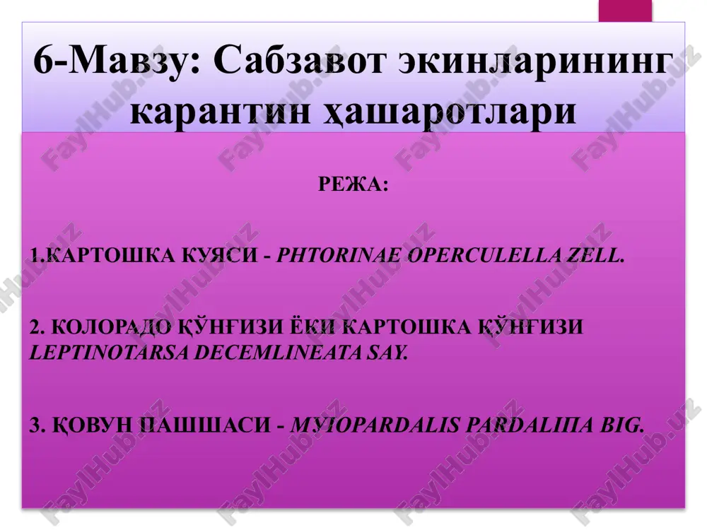 sabzavot ekinlarining karantin hasharotlari — PPTX
