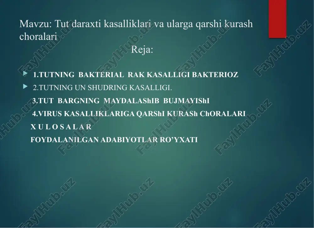 tut daraxti kasalliklari va ularga qarshi kurash choralari — PPTX